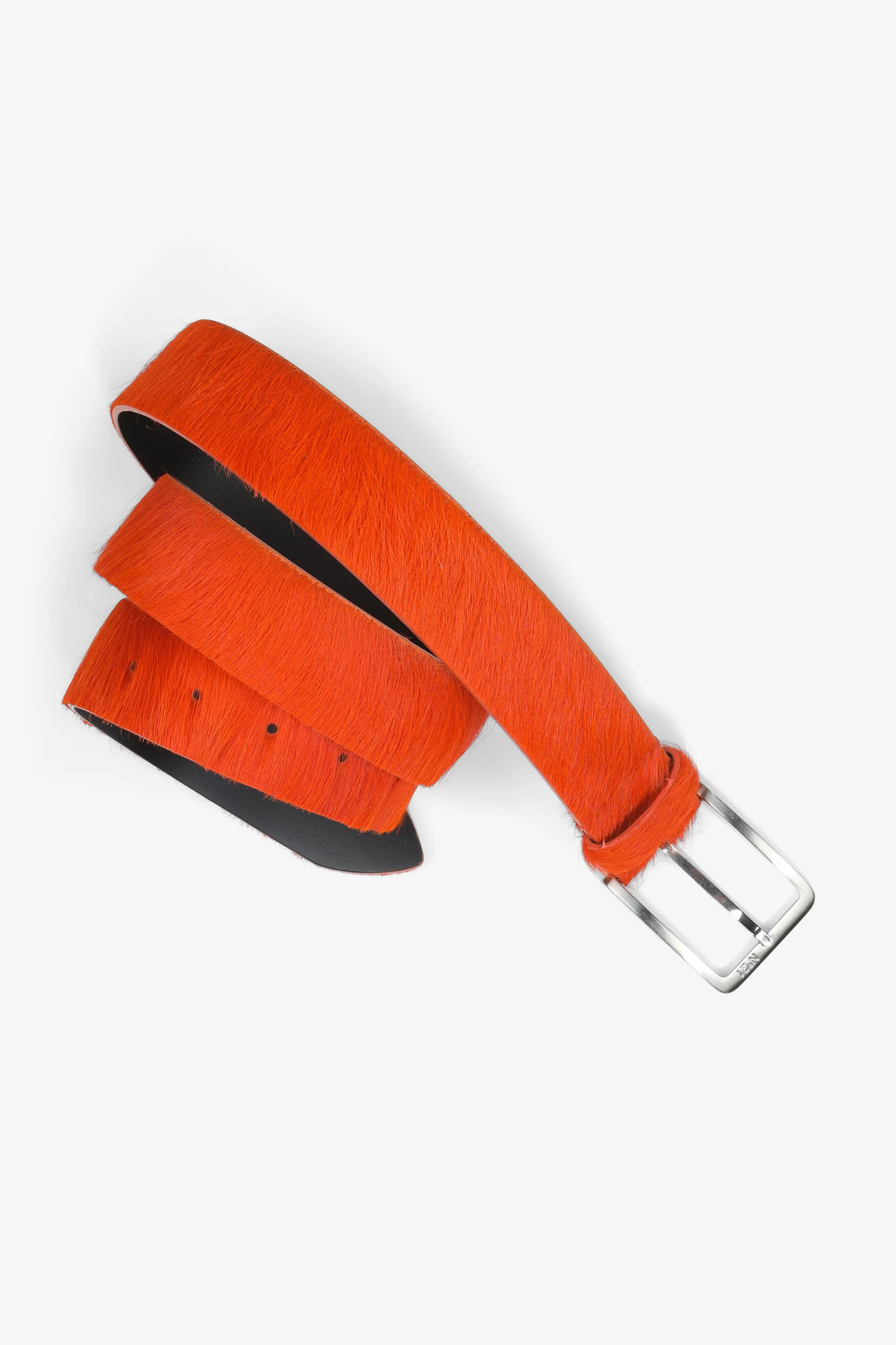 Cintura cavallino